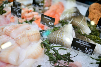 Edeka Sulger bietet neben regionalen und bodenständigen Sortimenten immer auch das Besondere – hier in der Fischtheke.