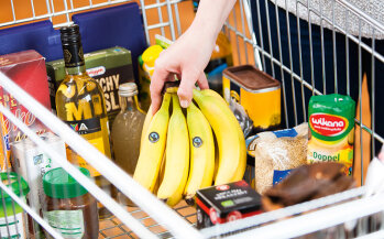 Ein Kilo Bananen für weniger als einen Euro ist heutzutage keine Seltenheit.