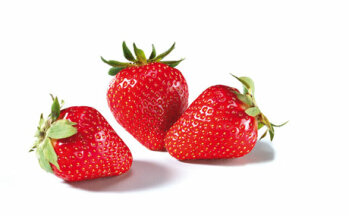 Erdbeeren: Die hellroten Früchte kommen mit Kelch und kurzem (nicht vertrocknetem) Stiel in den Verkauf. Sie müssen sauber, dürfen aber nicht gewaschen sein – das würde die Haltbarkeit verringern. (Bildquelle: Agrarmarkt Informations-Gesellschaft mbH (AMI)/Pressebüro deutsches Obst und Gemüse)