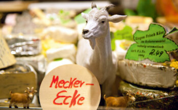 Liebe zum Detail: Die Käsetheke ist aufwendig dekoriert – mit handgeschriebenen Schildern und diversen Tierfiguren.