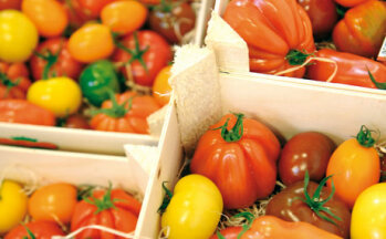 Waren- und Sortenmix: Obst und Gemüse haben den größten Anteil am Warenumschlag.