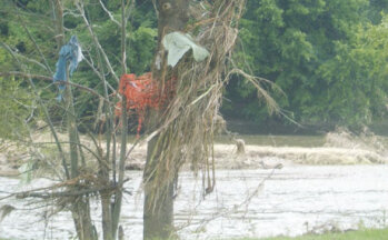 Trügerisch: Harmlos liegt die Mulde wieder in ihrem Flussbett. Nur Dreck und Gestank zeugen von der Katastrophe.