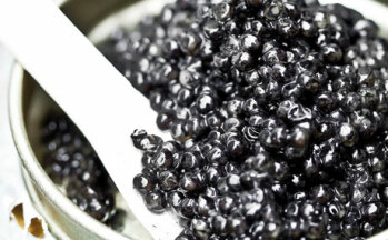 Genuss / Premium: Es muss nicht immer Kaviar sein. Beste Ausgangsprodukte und voller Geschmack sind die Zutaten für hohes Genussversprechen. Man gönnt sich und seinen Gästen aller vermeintlichen Widrigkeiten zum Trotz wieder etwas. Genießen satt darben.