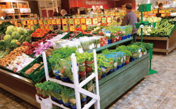 Frische und anderer Fußboden in der Obst- und Gemüseabteilung.