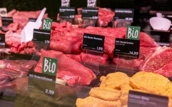 Ein weiteres Profilierungsfeld: Rindfleisch aus Biologischer Aufzucht und Haltung.