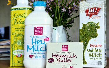 Heumilch als Ausgangsprodukt für Trinkmilch, Butter, Sahne, Quark und Käse.