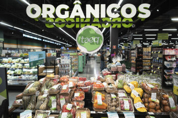 Obst und Gemüse aus biologischem Anbau („organicos“).  