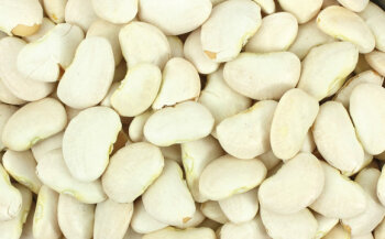 Weiße Riesenbohnen<br />
bringen einen süßlicharomatischen Geschmack ins Essen. Beliebt sind sie als Zutat in italienischen Antipasti.