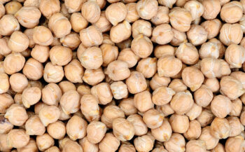 Kichererbsen<br />
zählen in vielen Ländern wie etwa Indien zu den Grundnahrungsmitteln. Gekocht lassen sie sich als Püree zu Hummus verarbeiten.