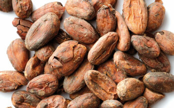 Kakao: Kakao ist reich an Vitamin C, Spurenelementen und Magnesium. Er gilt als klassischer Stimmungsaufheller, ist kreislaufanregend und blutdrucksenkend.