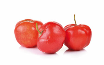 Die Acerola gehört zu den Vitamin-C-reichsten Früchten überhaupt. Ihr Frucht- fleisch besteht zu 80 Prozent aus Saft.
