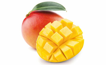 Mangos bringen einen stark aromatisch-süßlichen Duft und Geschmack mit.