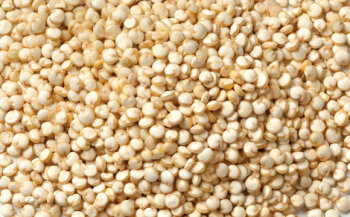 Quinoa: Quinoa kommt aus Südamerika, ist glutenfrei, kalorienarm, dafür aber reich an gut verwertbaren Kohlenhydraten, Aminosäuren und hochwertigem Eiweiß.