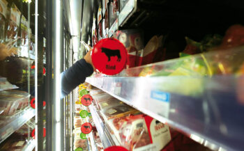 SB-Fleisch findet bei den Kunden des Warenhauses, das vor dem Umbau gar keine Bedientheken hatte, immer noch großen Anklang. Ein Farbleitsystem in den Kühlschränken hilft, das gewünschte Produkt schneller zu finden.