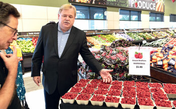 Darrell präsentiert spürbar stolz sein regionales Angebot an Obst und Gemüse. Frische ist auch in kanadischen Supermärkten wichtiges Thema.