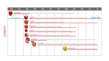 Saisonkalender Äpfel Clubsorten