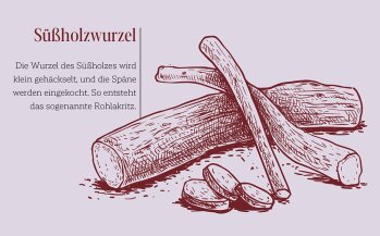Die Wurzel des Süßholzes wird klein gehäckselt, und die Späne werden eingekocht. So entsteht
das sogenannte Rohlakritz.