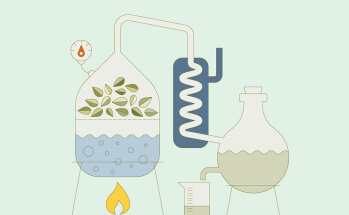 PRINZIP DER WASSERDAMPFDESTILLATION: 1. Destillation, 2. Brennblase, 3. Botanicals, 4. Haltbarkeit