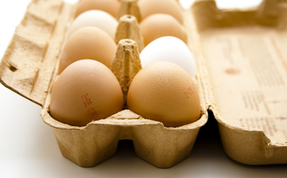 Regierung lässt Eierprodukte überwachen
