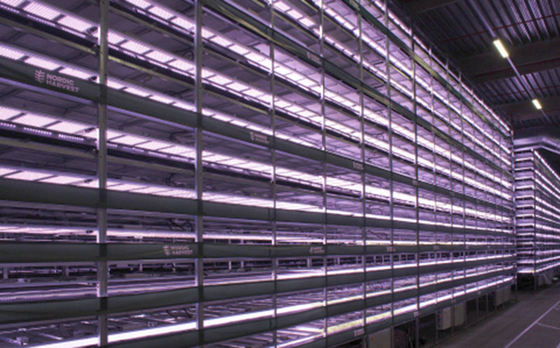 Artikelbild Größte vertikale Farm entsteht in Kopenhagen