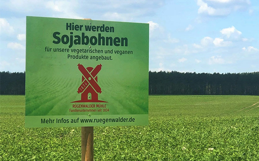 In Deutschland wird immer mehr Soja produziert