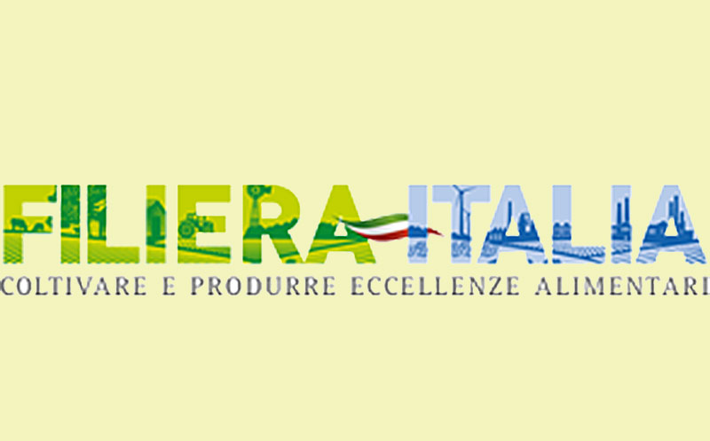 Artikelbild Pasta-Export legt kräftig zu