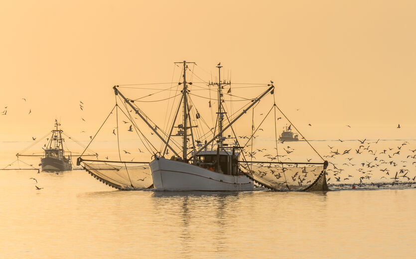 Artikelbild Unterstützung für Fischer gefordert