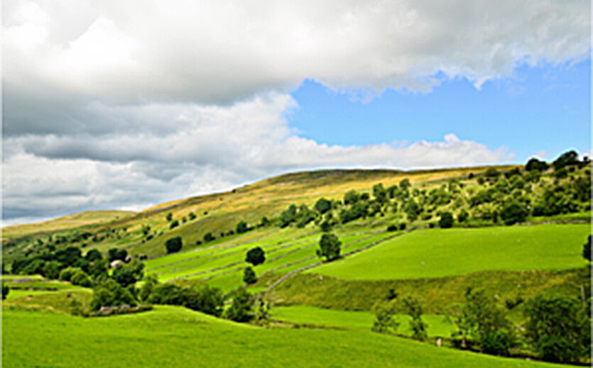 Artikelbild 100.000 Pfund für Ausstieg aus der Landwirtschaft