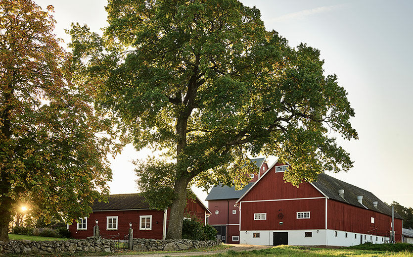 Artikelbild Coop und HKScan gründen Joint Venture