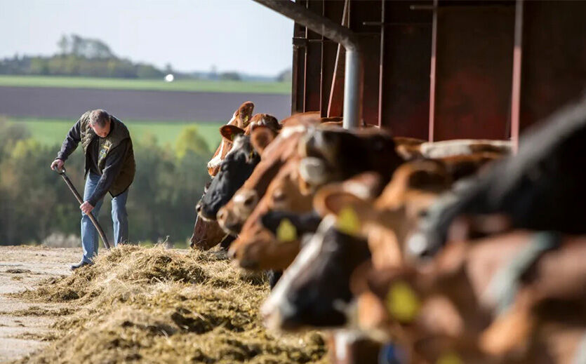 Artikelbild Arla Foods will Treibhausgase reduzieren