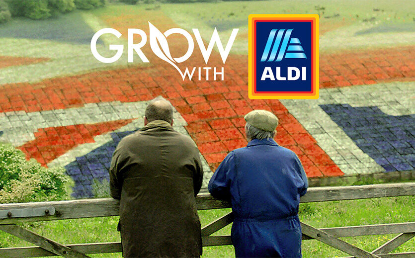 Artikelbild Aldi sucht innovative Hersteller in einer TV-Show 