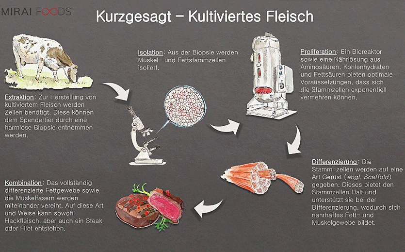 Artikelbild Rügenwalder und Mirai Foods entwickeln hybrides Fleisch