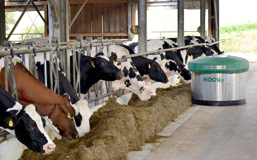 Artikelbild zu Artikel Klima-Milchfarm von Nestlé und Hochwald 