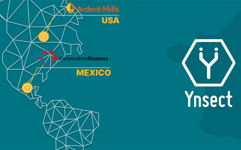 Artikelbild Ÿnsect baut Insektenproduktion aus