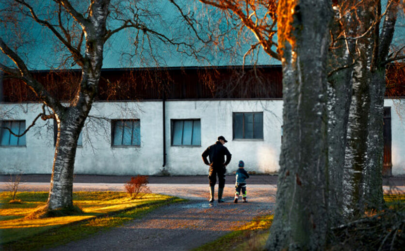 Artikelbild Arla führt Nachhaltigkeitsprämie für Landwirte ein