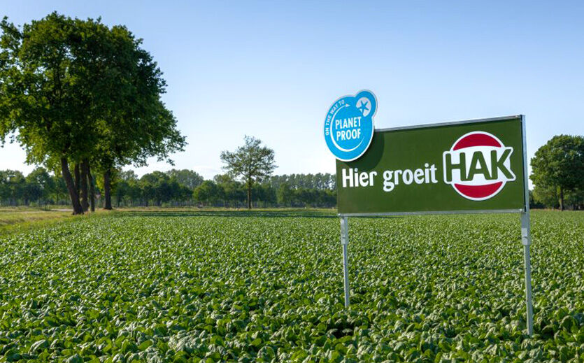 Artikelbild HAK plant Produktionspause wegen hoher Energiepreise