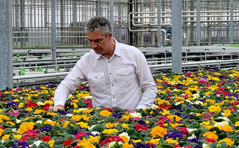 Artikelbild Torffreie Pflanzen sollen Klima schützen