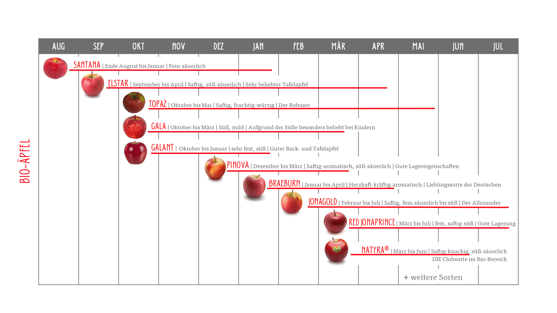 Saisonkalender Bio-Äpfel