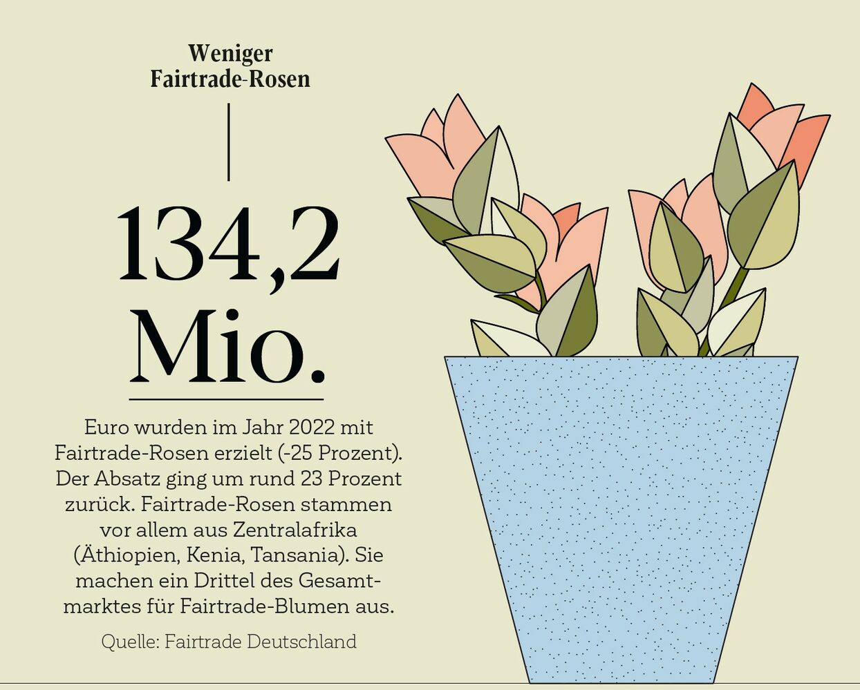 134,2 Mio. Euro wurden im Jahr 2022 mit Fairtrade-Rosen erzielt (-25 Prozent). Der Absatz ging um rund 23 Prozent zurück. Fairtrade-Rosen stammen vor allem aus Zentralafrika (Äthiopien, Kenia, Tansania). Sie
machen ein Drittel des Gesamtmarktes für Fairtrade-Blumen aus.