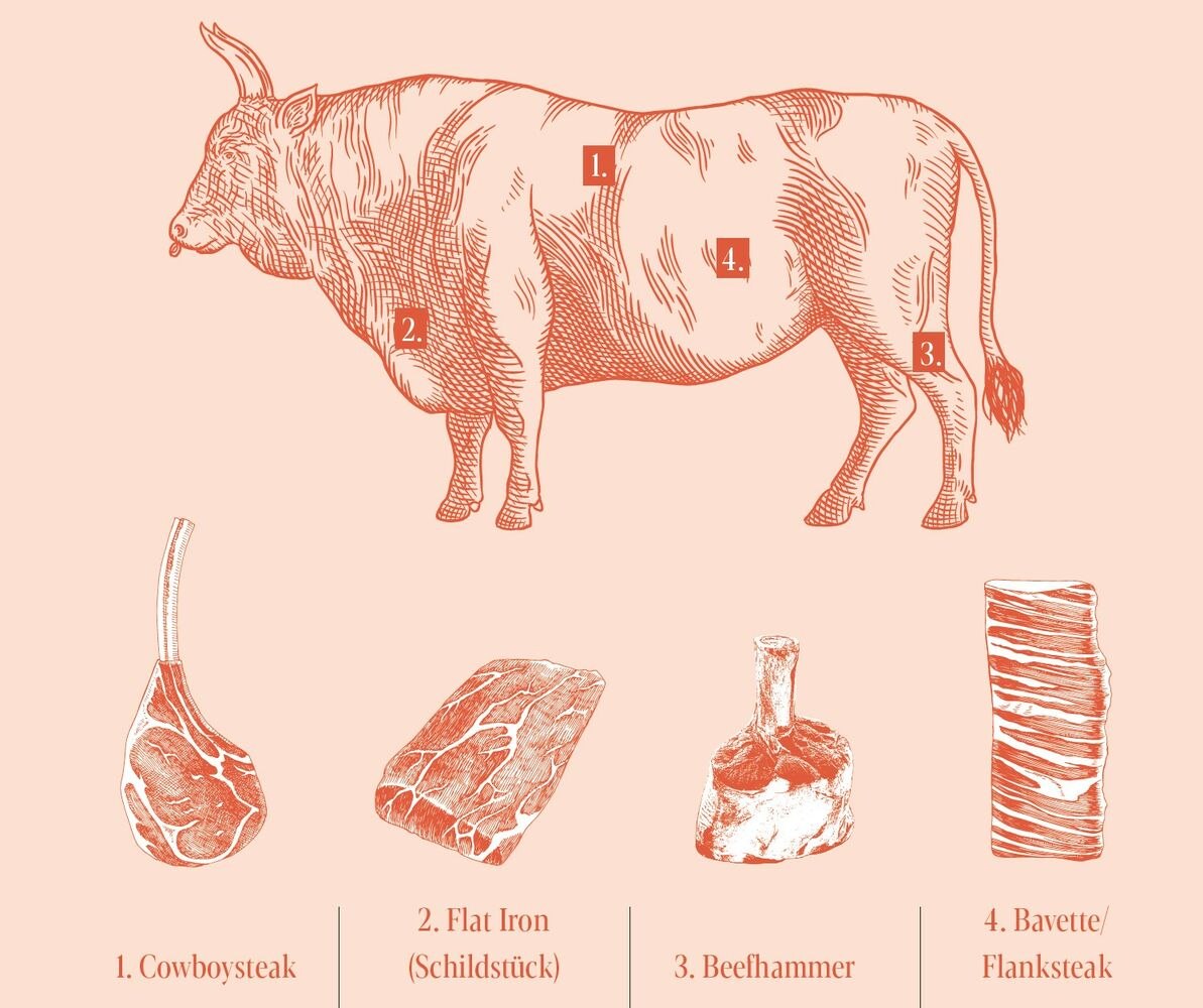 INNOVATIVE STÜCKE VOM RIND: Die wiederentdeckte Kategorie „New Cuts“ eröffnet den Kunden neue Genusswelten. Lange Zeit haben die vier Klassiker Roastbeef, Hüfte, Filet und Entrecote die Welt der Steak Cuts dominiert. Doch Nachhaltigkeit und artgerechte Tierhaltung gewinnen an Bedeutung – und damit auch die „New Cuts“. Im Folgenden wird ein kurzer Überblick über die interessantesten neuen Zuschnitte gegeben.