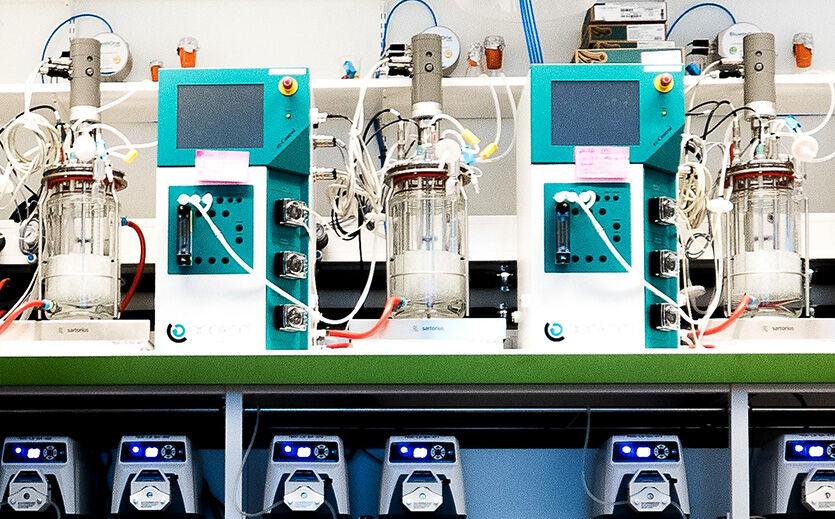 Artikelbild FrieslandCampina baut Präzisionsfermentation aus