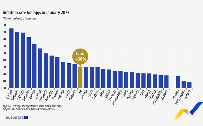 Artikelbild Eierpreise steigen stark an