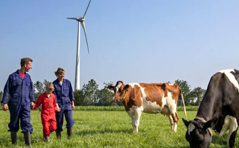 Artikelbild Hoher Gewinnrückgang bei FrieslandCampina 