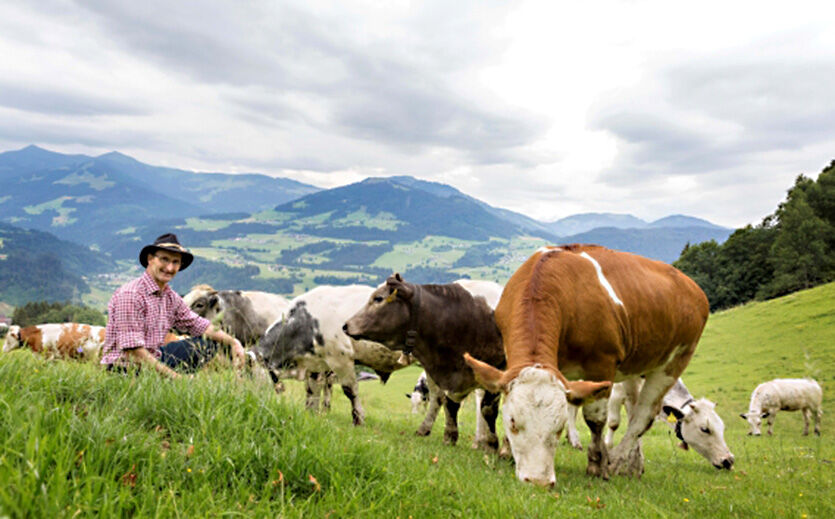 Artikelbild MPreis setzt verstärkt auf Regionalität