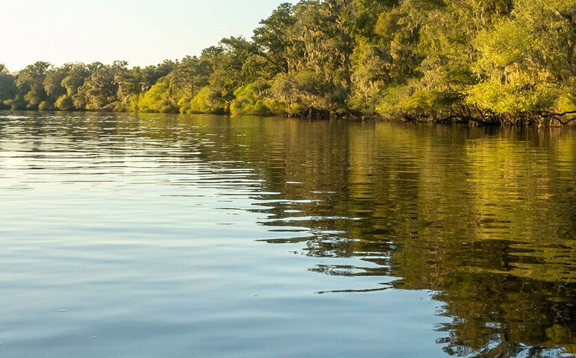 Artikelbild Nachhaltiges Wassermanagement bei Lidl