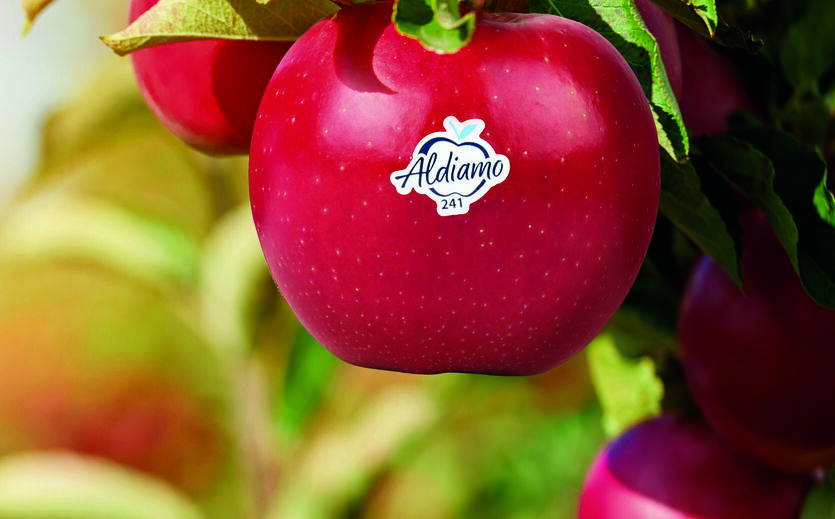 Artikelbild zu Artikel Aldi Süd verkauft eigene Apfelsorte