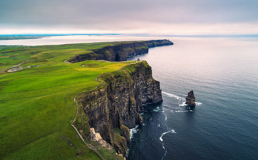 Artikelbild Lebensmittel- und Getränkeexporte auf hohem Niveau