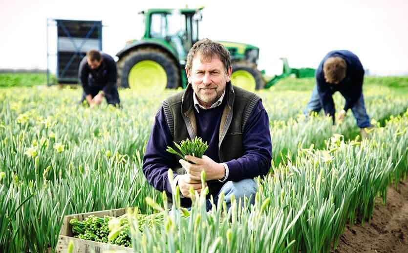 Artikelbild Aldi unterstützt lokale Lieferanten