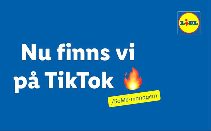Artikelbild Lidl ist auf Tiktok erfolgreich