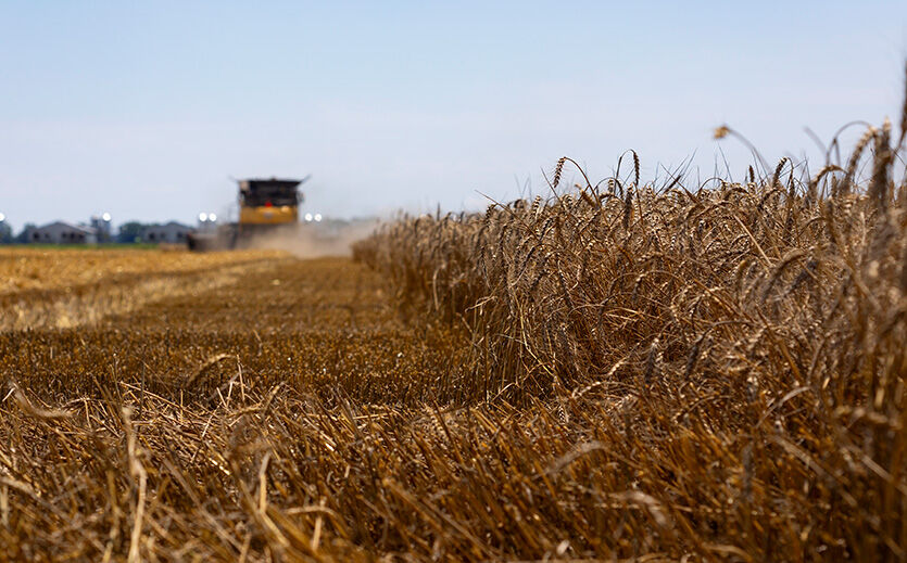 Artikelbild Ahold Delhaize setzt auf regenerative Landwirtschaft